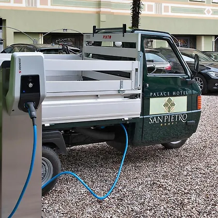 Palace San Pietro 4*